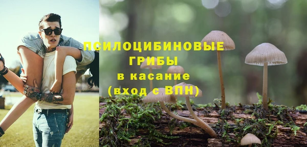ПСИЛОЦИБИНОВЫЕ ГРИБЫ Алексин