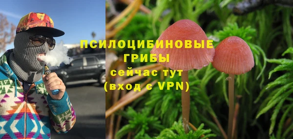 ПСИЛОЦИБИНОВЫЕ ГРИБЫ Алексин