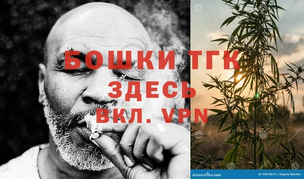 дмт Алексеевка
