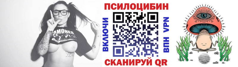 Галлюциногенные грибы Psilocybe  Чёрмоз 